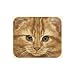 Fiddler's Elbow Orange Tabby Mouse Pad