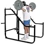 Champion Step Squat Rack Gym Equipment