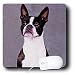 boston_terrier11boston terrier - Dogs Boston Terrier Boston Terrier Mouse Pads