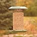 Pagoda Sunflower Feeder