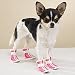 Dog Boots Polished Paw Sporty Set of 4 Blue Large