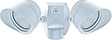 UPC 019813196565 product image for RAB Lighting SMSBULLET2X12NW Two Adjustable LED Floodlight with 180-Degree Detec | upcitemdb.com