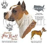 American Pit Bull Terrier Adult Sweatshirt