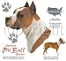 American Pit Bull Terrier Adult T-Shirt