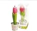 Pink Tulip Candle