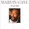 Music to chill and groove to