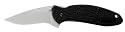 Kershaw Ken Onion Scallion Folding Pocket Knife with Speed Safe