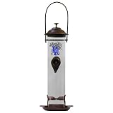 Kentucky Wildcats Bird Feeder