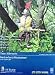 Ignite Toys - Figurine 1/6 Netherland Musketeer 30 cm_s-1