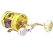 TICA(�e�B�J) �J�C�}�� CJ100R GOLD 0421019
