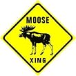 MOOSE CROSSING sign * hunt elk deer sport