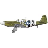 1/48 F-6B TAC RECCE MUSTANG