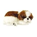 Perfect Petzzz Shih Tzu