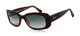 Ray Ban Women's Rb4122 Dark Red Frame/Grey Gradient Lens Plastic Sunglasses