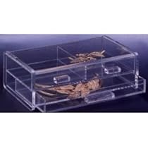 Jewelry Box (Clear) (8 Jewelry Box (Clear) (8