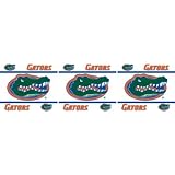 Florida Gators Wall Border Bright Blue