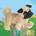 Pug Lil Kinz