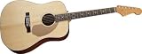 Fender Sonoran Acoustic Guitar with Maple Neck and Rosewood Fretboard- Natural