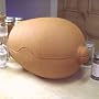 Chicken Brick terracotta