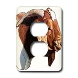 Farm Animals - Boer Doe Goat Head - Light Switch Covers - 2 plug outlet cover