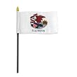 Illinois Flag 4 x 6 inch