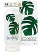 EcoGenics Eco 3 in 1 Mineral Masque Souffl&eacute;