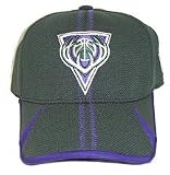 Milwaukee Bucks Basic Logo Wool Secondary Adjustable Hat