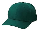 NEW Port & Company - Youth 6-Panel Twill Cap Hunter-OSFA