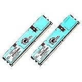 G.Skill PC 400 CL2 Arbeitsspeicher 2GB (400 MHz, 184-Polig, 2x 1GB) DDR-RAM Kit