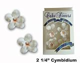 Cake Decors Cymbidium Orchids
