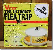 Kitchen: Victor Ultimate Flea Trap