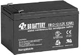 B.B. Battery 12 AH 12V EV SLA Battery EB Series