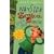 Wayside School Gets a Little Stranger