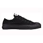 Converse Chuck Taylor All Star Low Top Black Monochrome M5039