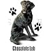 Chocolate Labrador Adult Long Sleeve T-Shirt