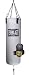 Sporting Goods : Everlast 5260 60 lb. Double End Platinum Heavy Bag & Vinyl Bag gloves