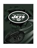 NFL Royal Plush Raschel 60x80 Blanket - New York Jets