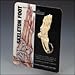 Foot + Ankle Key Ring (7035SP) - Quantity of 6
