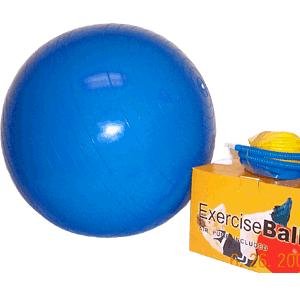 SunFitness Deluxe 75cm Exercise Ball w/ Dual Action Pump