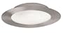 Eglo  87215A Palmera, Nickel/Frosted Opal, 2-Light Ceiling Light Fixture