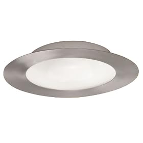 Eglo 87215A Palmera, Nickel Frosted Opal, 2-Light Ceiling Light Fixture by Eglo