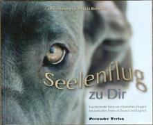 City Travel Guides Discounted  Bücher : Seelenflug zu Dir / The Soul's Flight to you. Faszinierende Fotos von Deutschen Doggen mit poetischen Texten