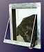 Pet Supplies : Easy Dog Door