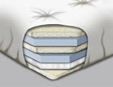 8 inch Full Futon Mattress