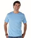 Hanes mens 100% ComfortSoft Cotton T-Shirt (5280)