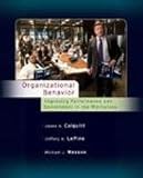 Organizational Behavior: Improving Performance and Commitment in the Workplace