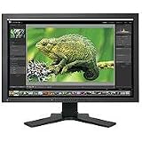 EIZO ColorEdge CG241W