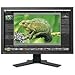 EIZO ColorEdge CG241W