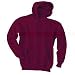Adult Hooded Sweatshirt