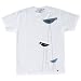 b.b.b／ビー・ビー・ビー Tシャツ（ホワイト）（M） : 森ヒカリ